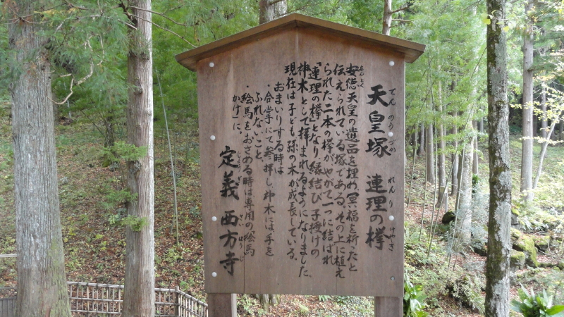 img0027.jpg