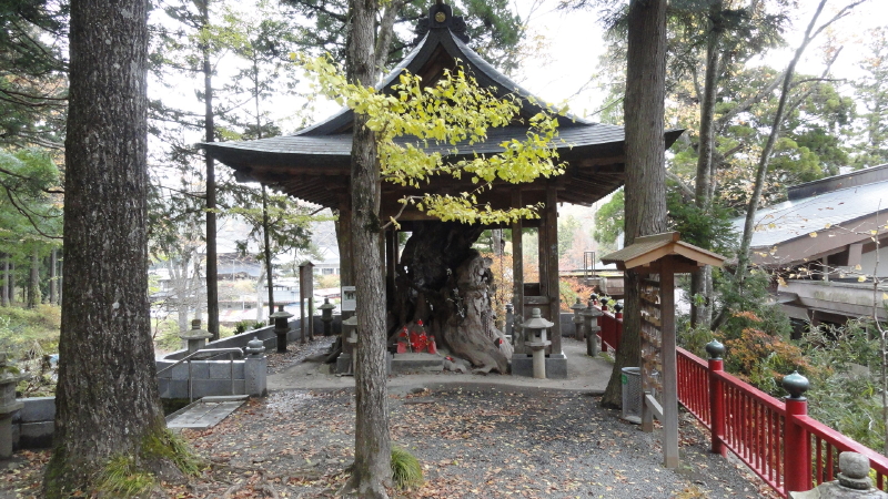 img0035.jpg