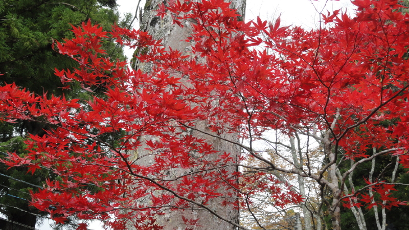 img0040.jpg