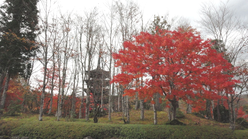img0051.jpg