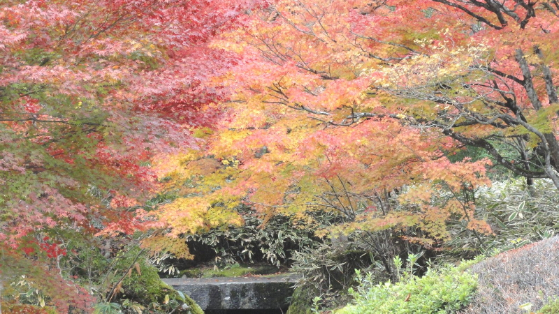 img0064.jpg