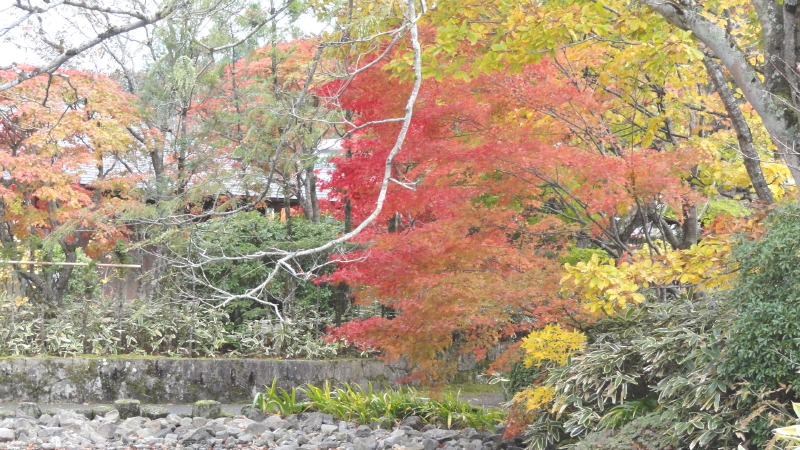 img0068.jpg