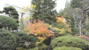 img0007.jpg