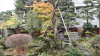 img0010.jpg