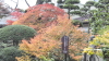img0012.jpg