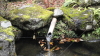 img0013.jpg