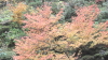 img0014.jpg