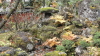 img0015.jpg