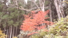 img0016.jpg