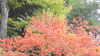 img0018.jpg