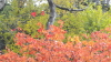 img0019.jpg