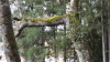 img0029.jpg