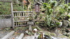 img0036.jpg