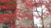 img0039.jpg
