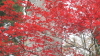img0041.jpg
