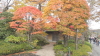 img0052.jpg
