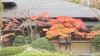 img0071.jpg