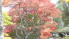 img0076.jpg
