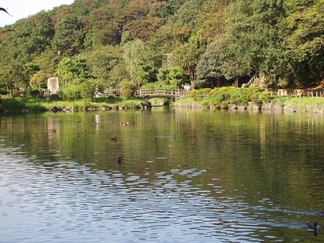 img0000.jpg