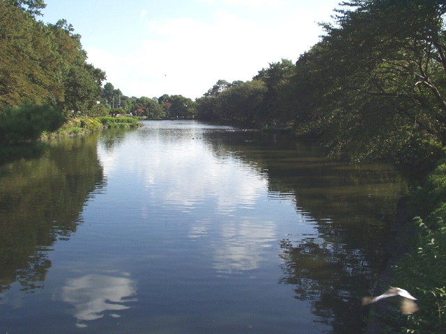 img0003.jpg