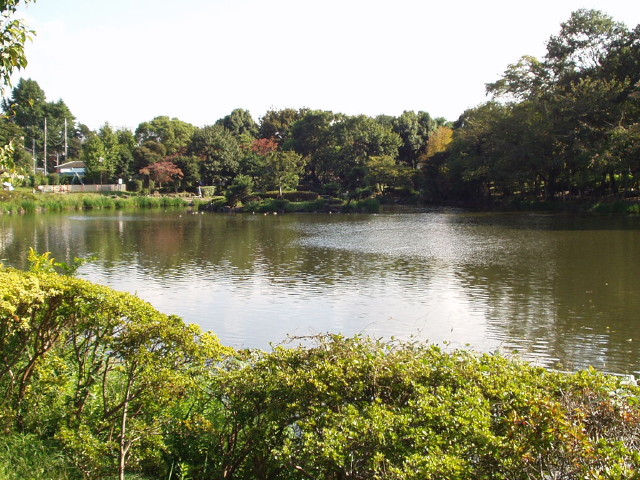 img0006.jpg