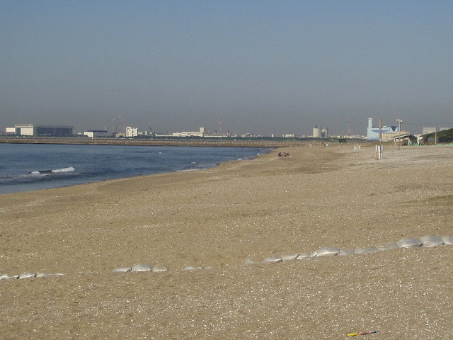 img0015.jpg