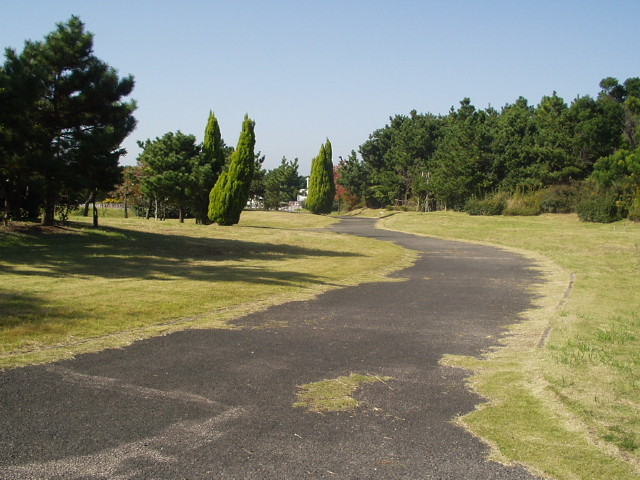img0019.jpg