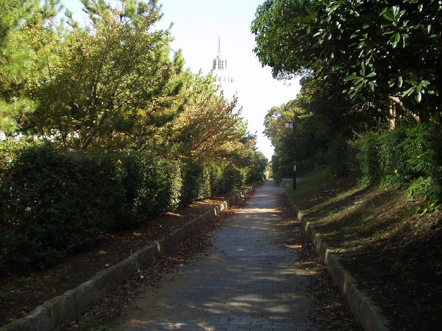 img0024.jpg