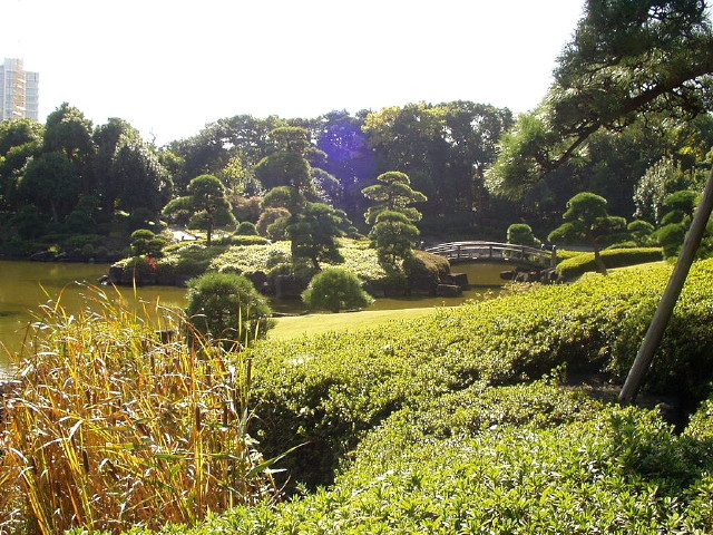 img0028.jpg