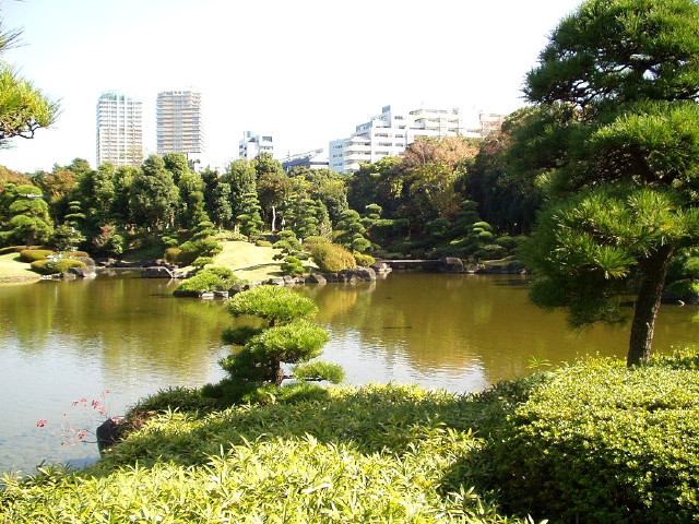 img0031.jpg