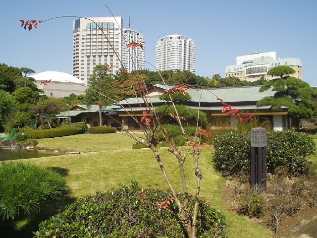 img0039.jpg