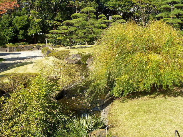 img0042.jpg