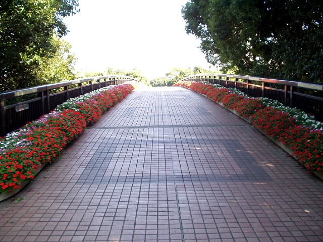img0043.jpg