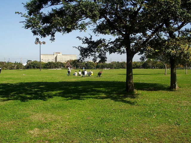 img0046.jpg