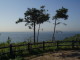 img0016.jpg