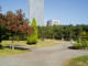 img0020.jpg