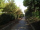 img0024.jpg
