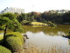img0027.jpg