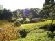 img0028.jpg