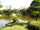 img0031.jpg