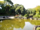 img0032.jpg