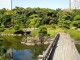 img0033.jpg
