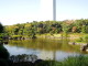 img0038.jpg