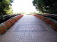 img0043.jpg