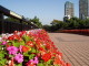 img0045.jpg