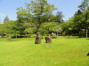 img0010.jpg