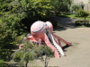 img0020.jpg