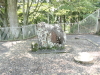 img0030.jpg
