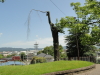 img0031.jpg