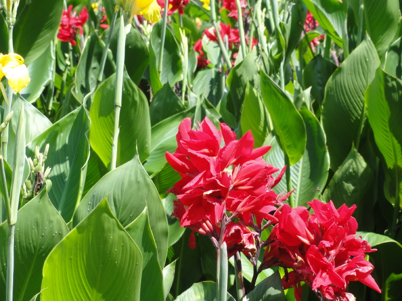 img0017.jpg